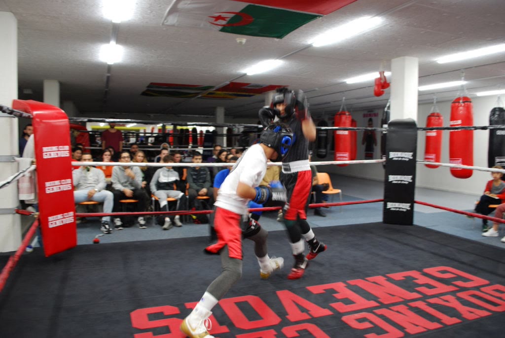 Tournoi sparring — 15 novembre 2019